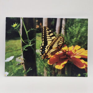 postkarte - besetzte landefläche