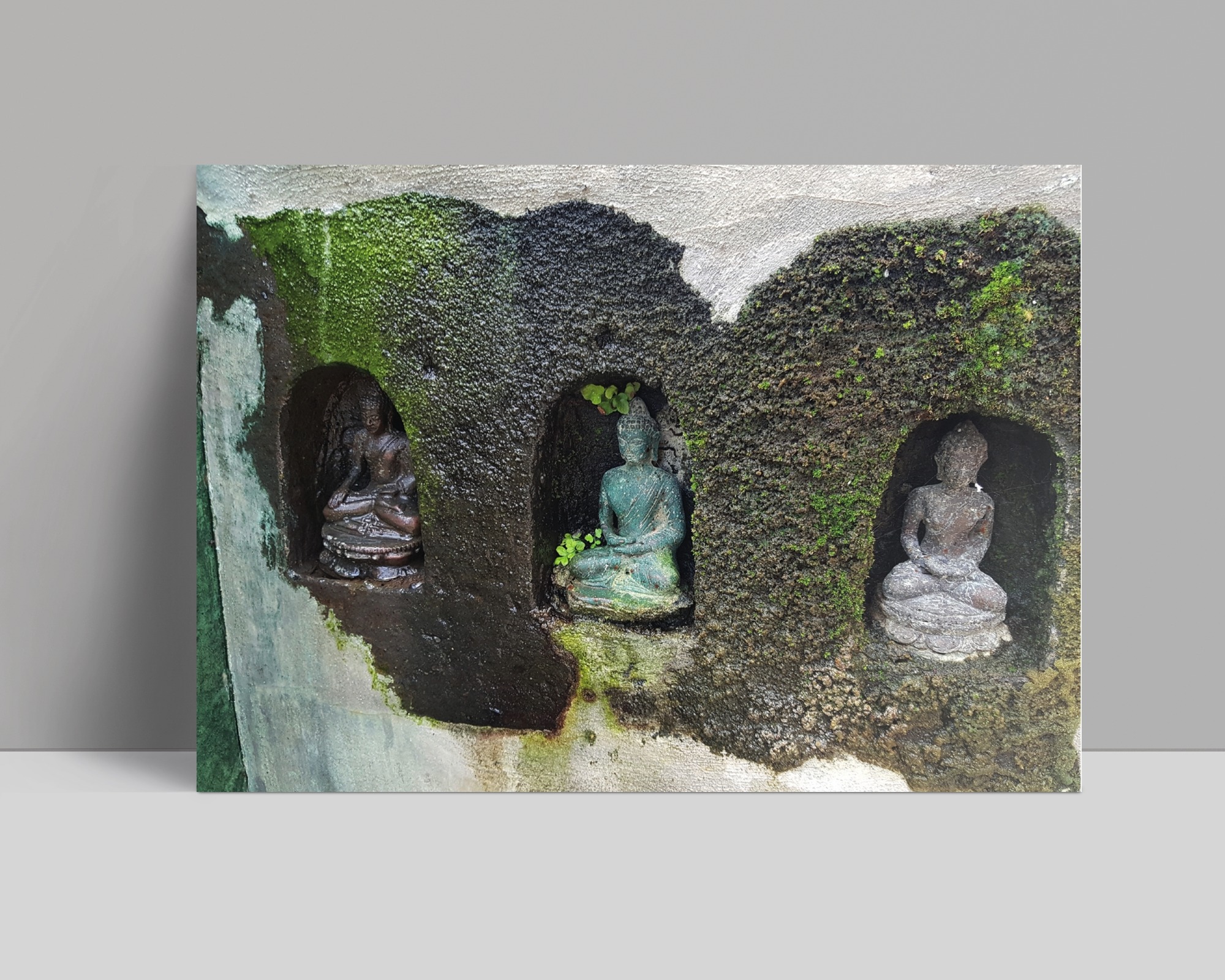 postkarte - buddahs
