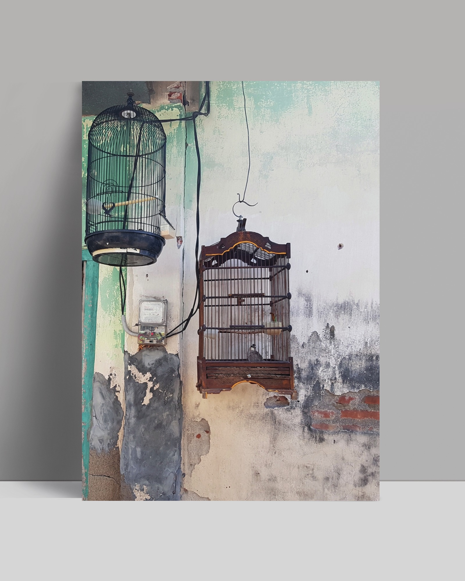 postkarte - vogelkäfig