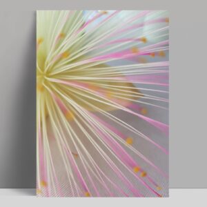 postkarte - blüte rosa-gelb